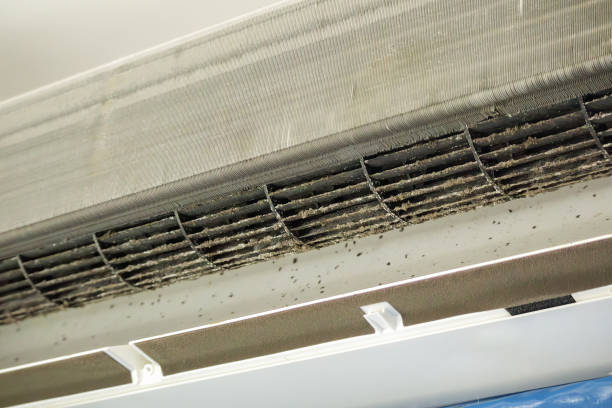 Best Air Duct Cleaning Near Me  in Covington, VA