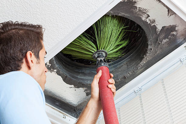 Best Affordable Air Duct Cleaning  in Covington, VA